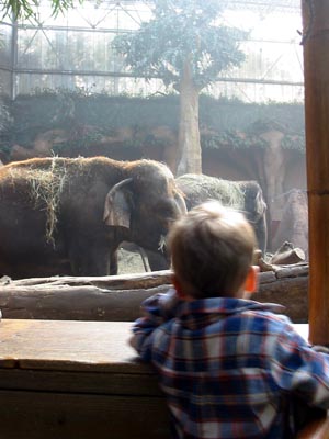 blijdorp